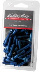 Valtermoto / バルターモト エンジンボルトキット ブルー | VEM15K 02