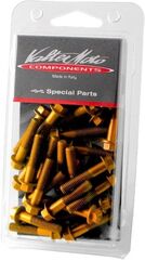 Valtermoto / バルターモト エンジンボルトキット ゴールド | VEM26S 03