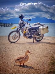 ヘプコ＆ベッカー サイドキャリア Lock-it (ロックイット) ブラック Yamaha XT 660 R/X from 2007 | 6504525 00 01