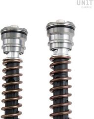 Unitgarage / ユニットガレージ Cartridge fork Ohlins NIX 30 R 1200 R (2015-2018) & R 1250 R (2019 until now) | FGK236