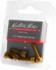 Valtermoto / バルターモト ヒューエルタンクキャップボルトキット ゴールド | VET04Y 03