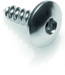 Lightech / ライテック SELF TAPPING SCREW 003 D=5,5X19 ERGAL | PAC35519