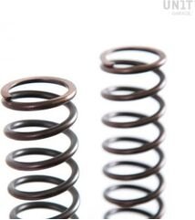 Unitgarage / ユニットガレージ Front suspension springs Triumph (2000-2012) | 08798_90
