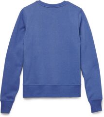 Harley-Davidson Women'S Essence Applique Crewneck Pullover, Gray Blue | 96602-22VW