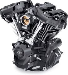 Harley-Davidson Engn Assy,Cruiser,Se131,B/B,Nd | 16200342