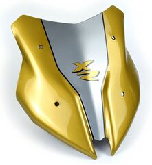 Pyramid Plastics / ピラミッドプラスチック Sport Screen | Galvanic Gold Metallic & Granite Grey Metallic Matt | BMW F900 XR 2020> | 24002F