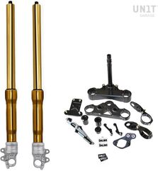 Unitgarage / ユニットガレージ Kit front fork Ohlins Triumph, GOLD | 1014_GOLD