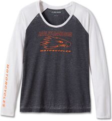 Harley-Davidson Tee-Knit, Colorblock-Design-Black Beauty | 96145-24VW