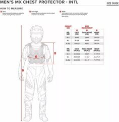 Alpinestars / アルパインスターズ Bionic Action v2 プロテクションジャケット グレー, ブラック, フルオイエロー | 6506823-915