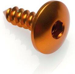 Lightech / ライテック SELF TAPPING SCREW 003 D=4,9X13 ERGAL | PAC34913