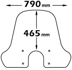 Isotta / イソッタ Large Type Fairing | SC1011