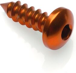 Lightech / ライテック SELF TAPPING SCREW 002 D=4,9X13 ERGAL | PAC24913