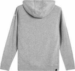 Alpinestars / アルパインスターズ Region フーディー グレー | 1233534001026