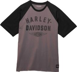 Harley-Davidson Men'S Staple Winged Raglan, Colorblock-Design-Blackened Pearl | 96336-23VM