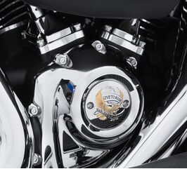 ハーレーダビッドソン LIVE TO RIDE ゴールド - タイマーカバー | 25600067