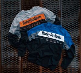 Harley-Davidson Tee-Knit, Colorblock-Design-Grey Heather | 96052-24VM