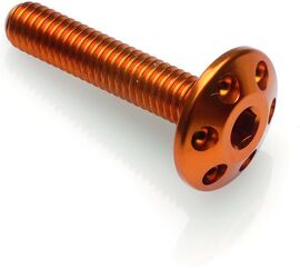 Lightech / ライテック DRILLED SCREW M6 X 20 | FORM620