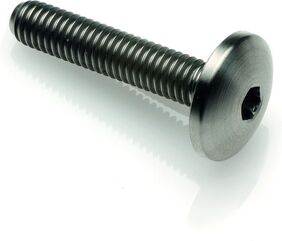 Lightech / ライテック ボタンヘッド TIT. G.5 CL 003 M6 L. 20 | T003M6020