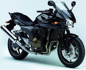 Powerbronze / パワーブロンズ スタンダード スクリーン KAWASAKI Z750S フルオ グリーン | 410-K131-010