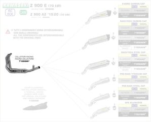 ARROW / アロー KAWASAKI Z 900 E '17/18 4:2:1 ステンレス RACING コレクター キャタライザー無し| 71688MI