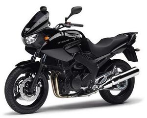 Powerbronze / パワーブロンズ スタンダード スクリーン YAMAHA TDM900 フルオ グリーン | 410-Y131-010