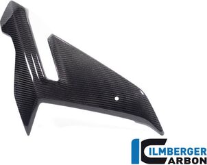 ILMBERGER / イルムバーガーカーボン フェアリングサイドパネル 右 street version BMW M 1000 R 2023 | VER.002.M123N.K