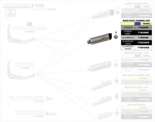 ARROW / アロー KAWASAKI Z 650 '17 eマークチタン RACE TECH サイレンサー カーボンエンドキャップ付 アローコレクター用 | 71854PK
