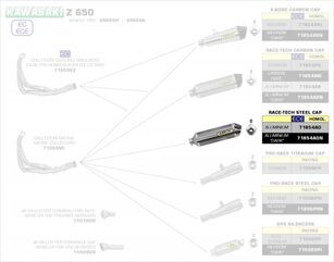 ARROW / アロー KAWASAKI Z 650 '17 eマークアルミニウムダーク RACE TECH サイレンサー + ステンレス エンドキャップ アローコレクター用 | 71854AON
