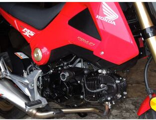 RDMoto / アールディーモト Crash Protector | H50-PH01