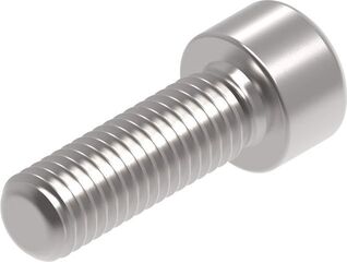 Evotech Performance Evotech Performance, EP M10 x 30 x 1.5mm Pitch Caphead - 316 S/S | PRN015295