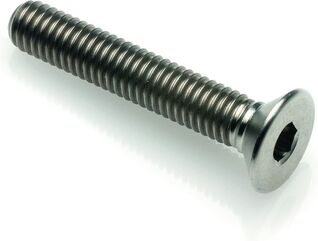 Lightech / ライテック FLATHED ヘッド TIT. G.5 CL 005 M4 L. 15 | T005M4015