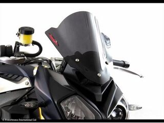 Powerbronze / パワーブロンズ エアフロースクリーン ライトティント BMW S1000R, 14-19 | 400-B107-001