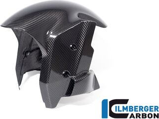 ILMBERGER / イルムバーガーカーボン フロントフェンダー BMW M1000RR 2023- | KVO.006.M123S.K