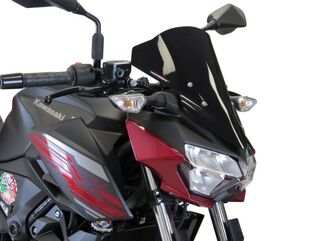 Powerbronze / パワーブロンズ ライトスクリーン フロストステルスグレー KAWASAKI Z400, 19 | 430-U271-019