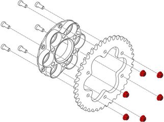 CNC Racing / シーエヌシーレーシング Nuts Ring Gear Ducati, ゴールド | DA388G