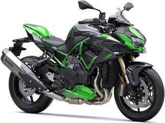 Kawasaki / カワサキ ピリオン シート カバー,オールドブレイズ グリーン | 99994138740R