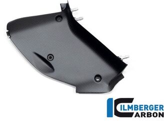 ILMBERGER / イルムバーガーカーボン インナーエアチューブカバー 左 Ducati ディアベル V4 2023- マット | WAL.103.DI23M.K