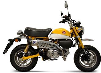 Termignoni /テルミニョーニ フルシステムコレクター+サイレンサー ステンレス ステンレススリーブ | H16509400IIC
