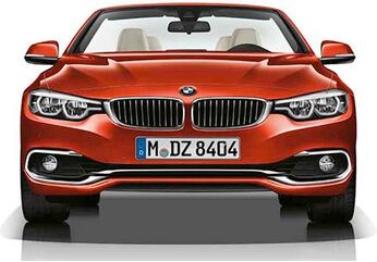 BMW 純正 F グリル LH LUXURY | 51137294815 / 51 13 7 294 815