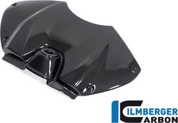 ILMBERGER / イルムバーガーカーボン アッパータンクカバー グロス パニガーレ V4 / V4 S Racing 2022 | TAO.033.V4R2G.K