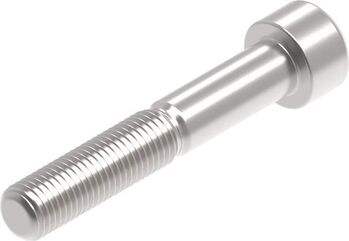 Evotech Performance Evotech Performance, EP M10 x 60 x 1.25mm Pitch Caphead - 316 S/S | PRN014260