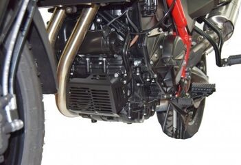Isotta / イソッタ グリル オイルフィルタープロテクション F 700 GS 2012>2018 | gr1085