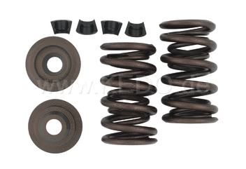 Kedo Racing Valve Springs (Steel-tops) | 30976