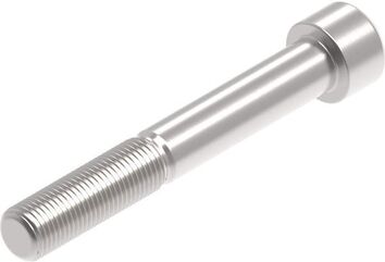 Evotech Performance Evotech Performance, EP M12 x 85 x 1.25mm Pitch Caphead - 316 S/S | PRN014213