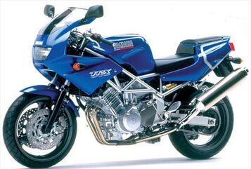 Powerbronze / パワーブロンズ スタンダード スクリーン YAMAHA TRX850 フレームレッド | 410-Y132-013