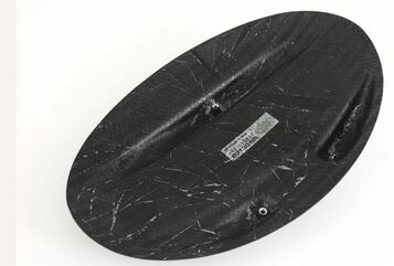 FULLSIX FRONT MUDGUARD Color - MATT | MD-DI11-M15