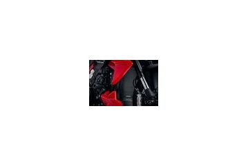 Evotech Performance Ducati, EP Ducati Diavel V4 Radiator Guard (2023+) | PRN016397-01