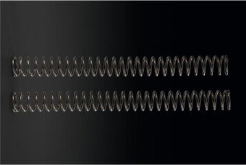 Kawasaki / カワサキ スプリング-フロントフォーク, K=4.8N/MM | 440260149