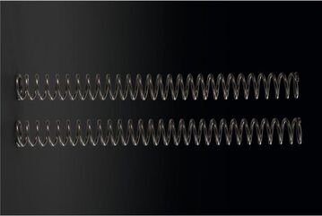 Kawasaki / カワサキ スプリング-フロントフォーク, K=4.8N/MM | 440260149