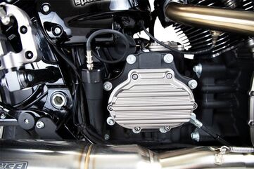 Arlen Ness / アレンネス 10-ゲージ トランスミッションサイドカバー チタン | 03-827